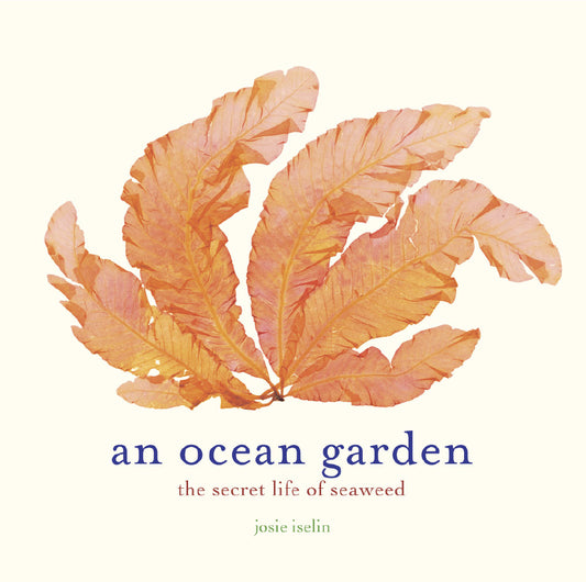 BQ Book Club: An Ocean Garden by Josie Iselin